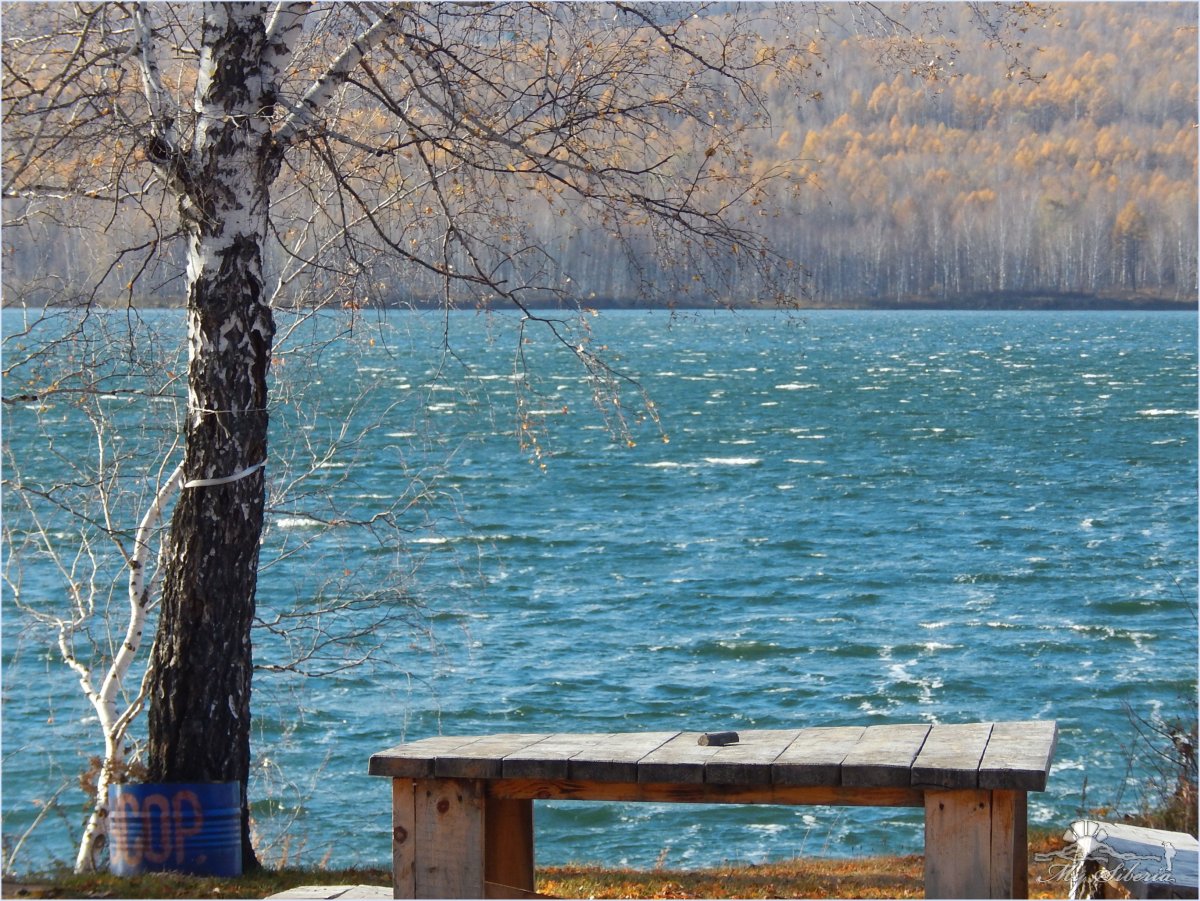 Озеро Линево Шарыповский