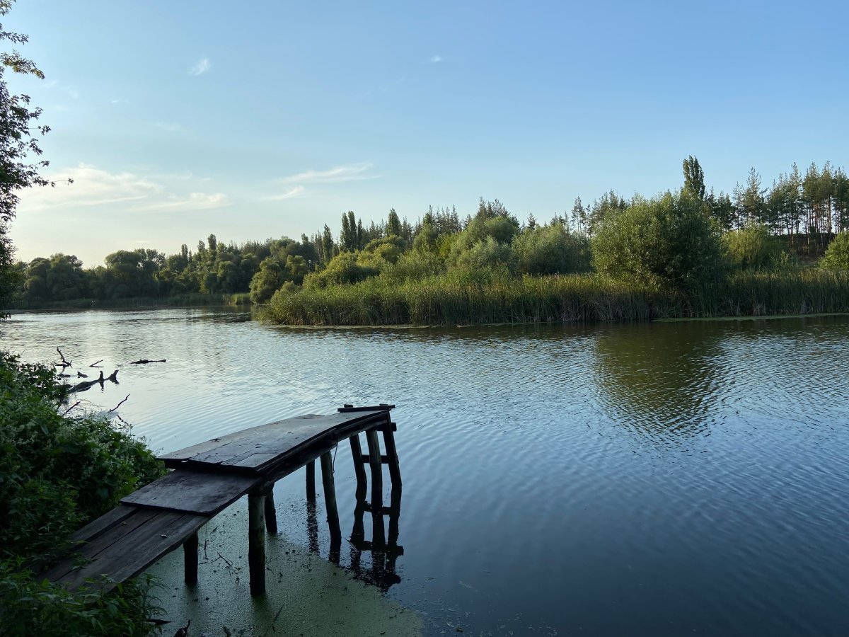 Плотское озеро Воронеж