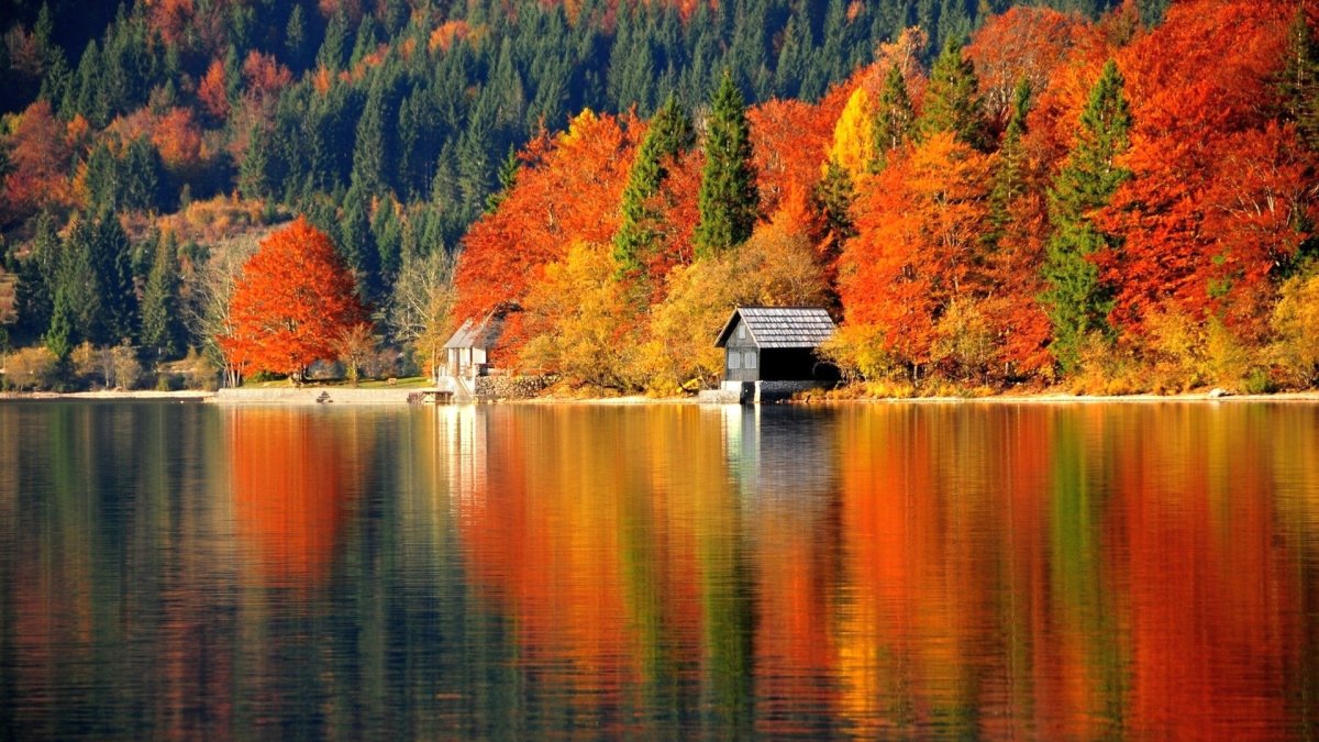 Осень лес озеро домик