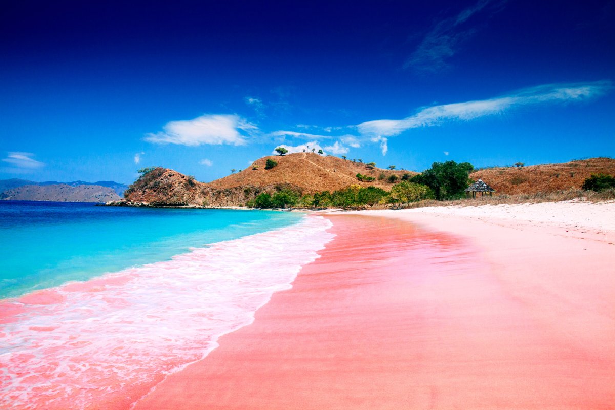 Розовый пляж комодо