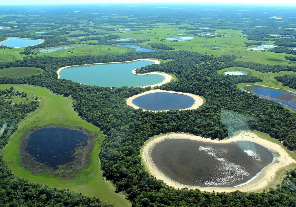 Национальный парк Пантанал в Бразилии