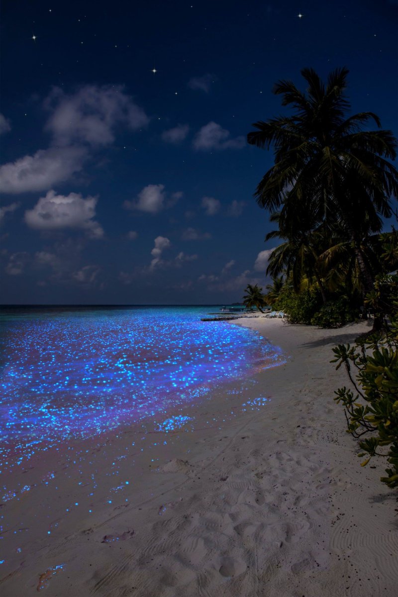 Остров Ваадху Мальдивы