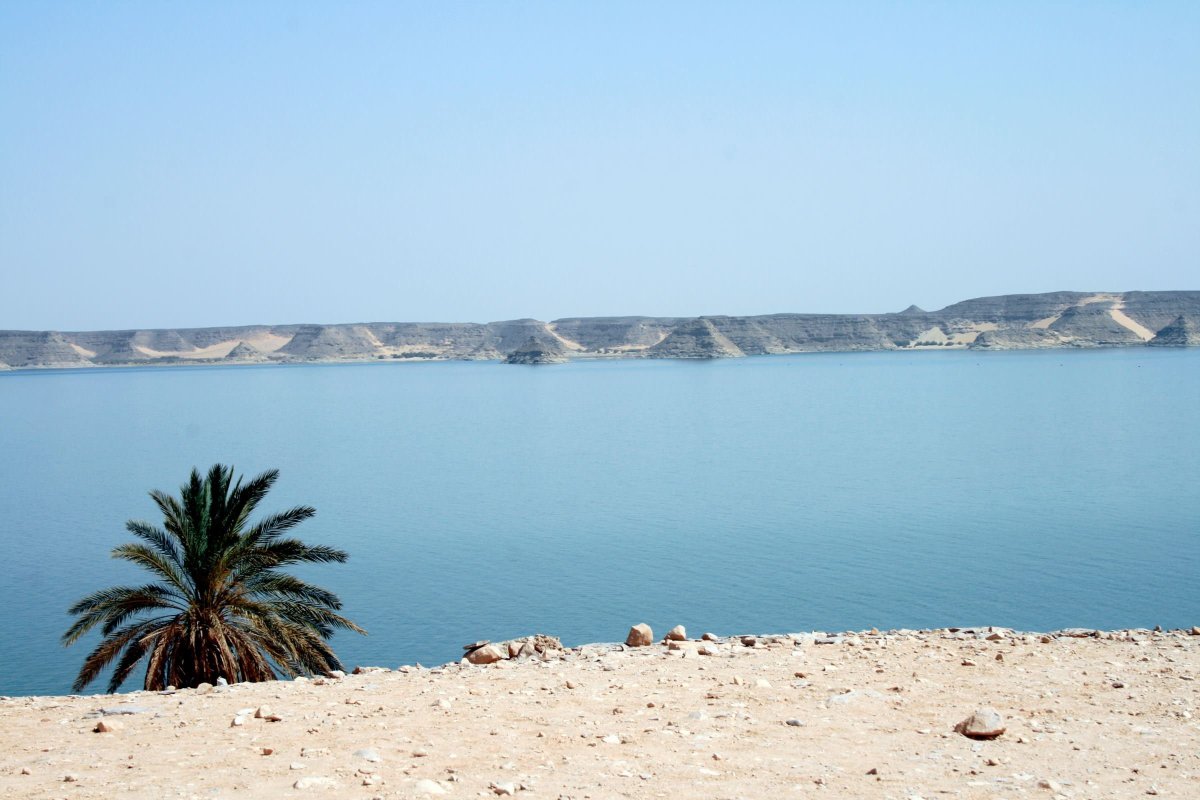 Озеро Манзала Египет