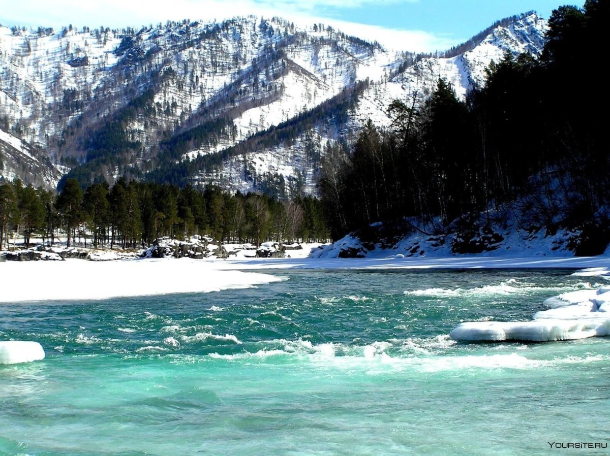 Чемал горный Алтай зимой