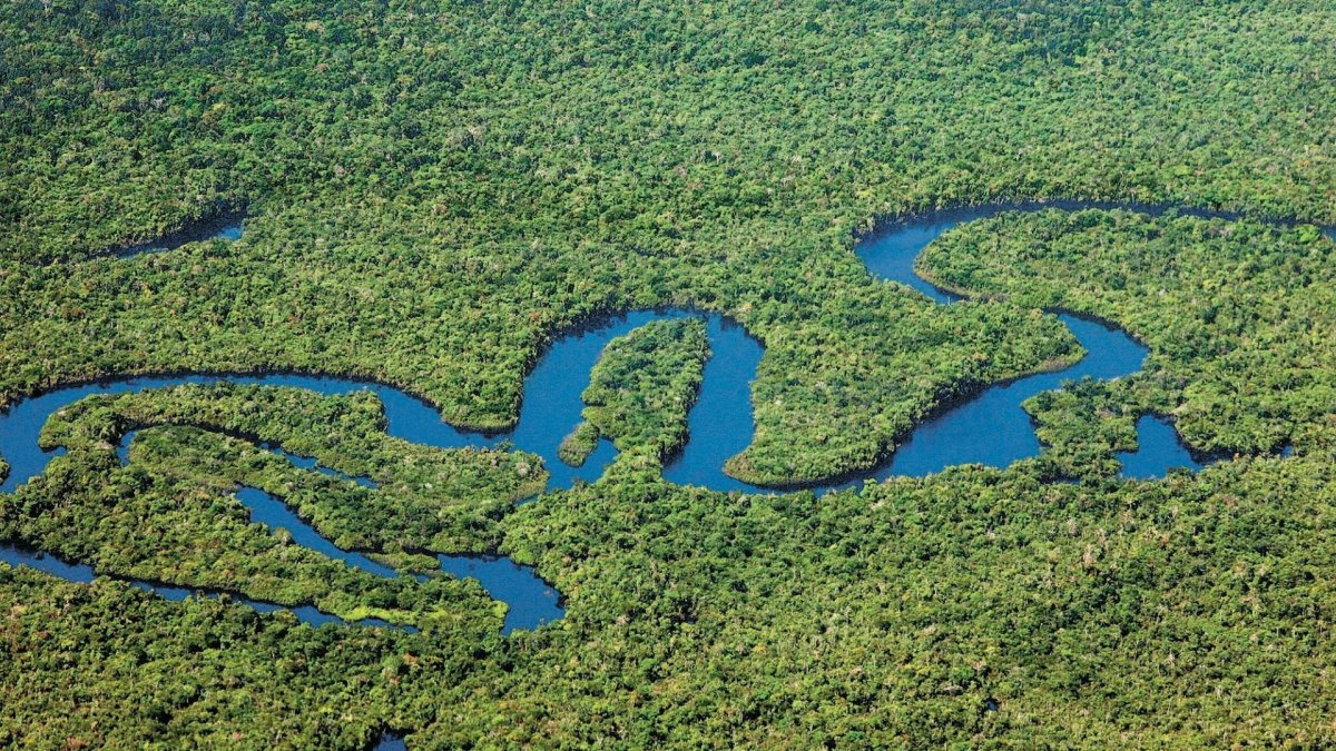 Реки Амазонка Нил Миссисипи