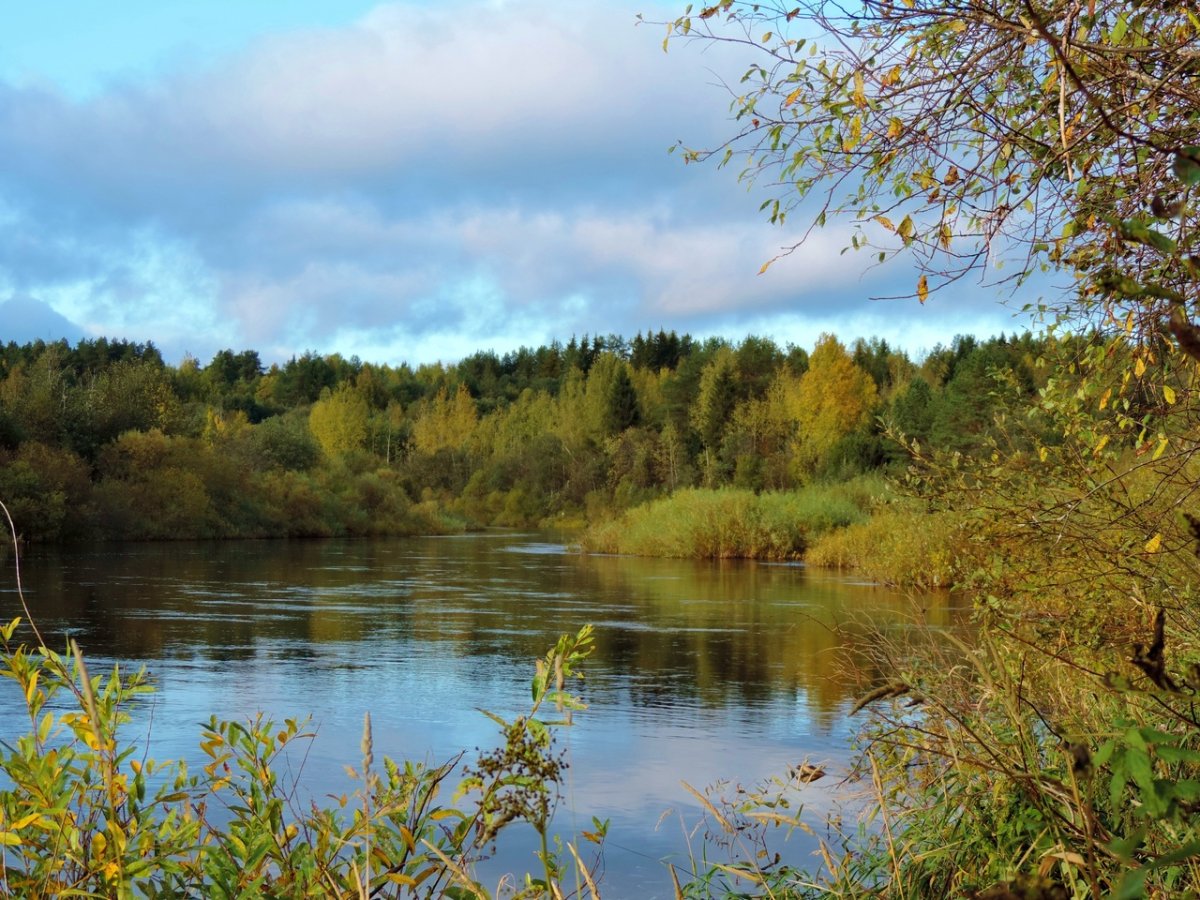 Река Вага Вологодская область