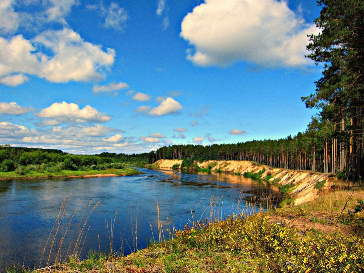 Река Чагодоща Вологодской области
