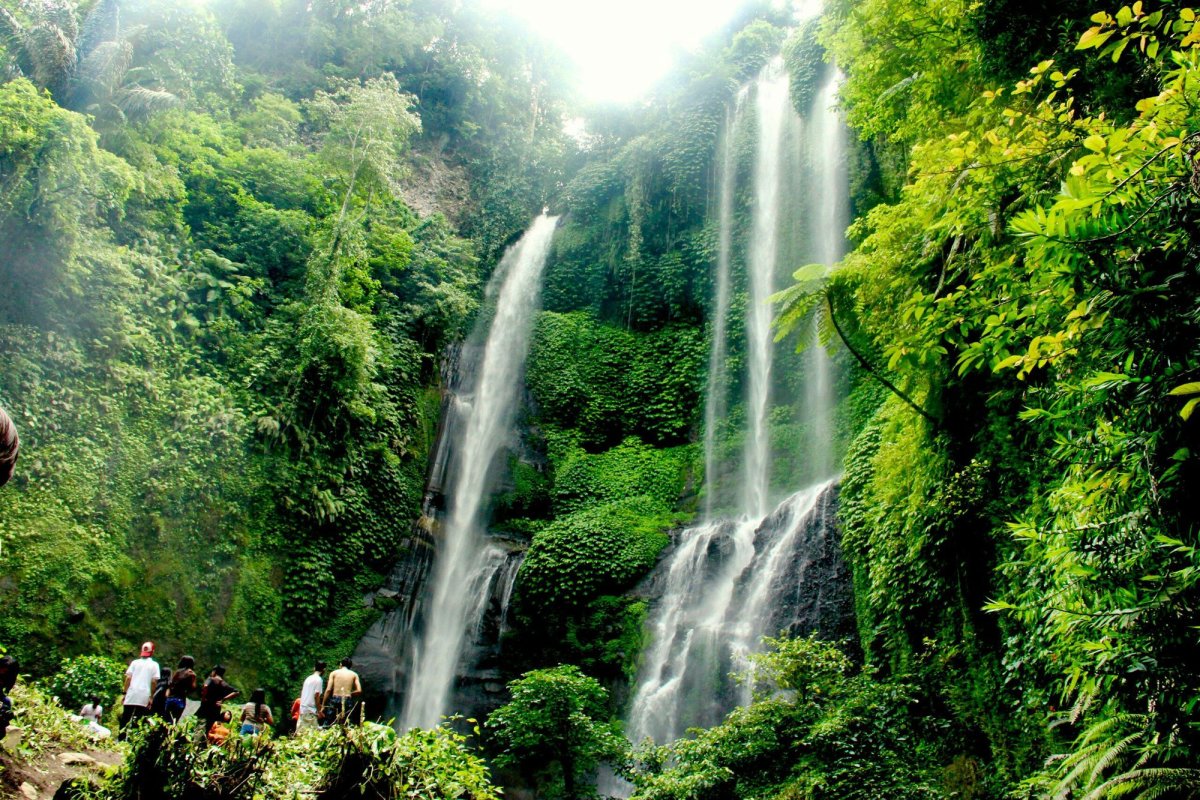 Дикая природа Бали