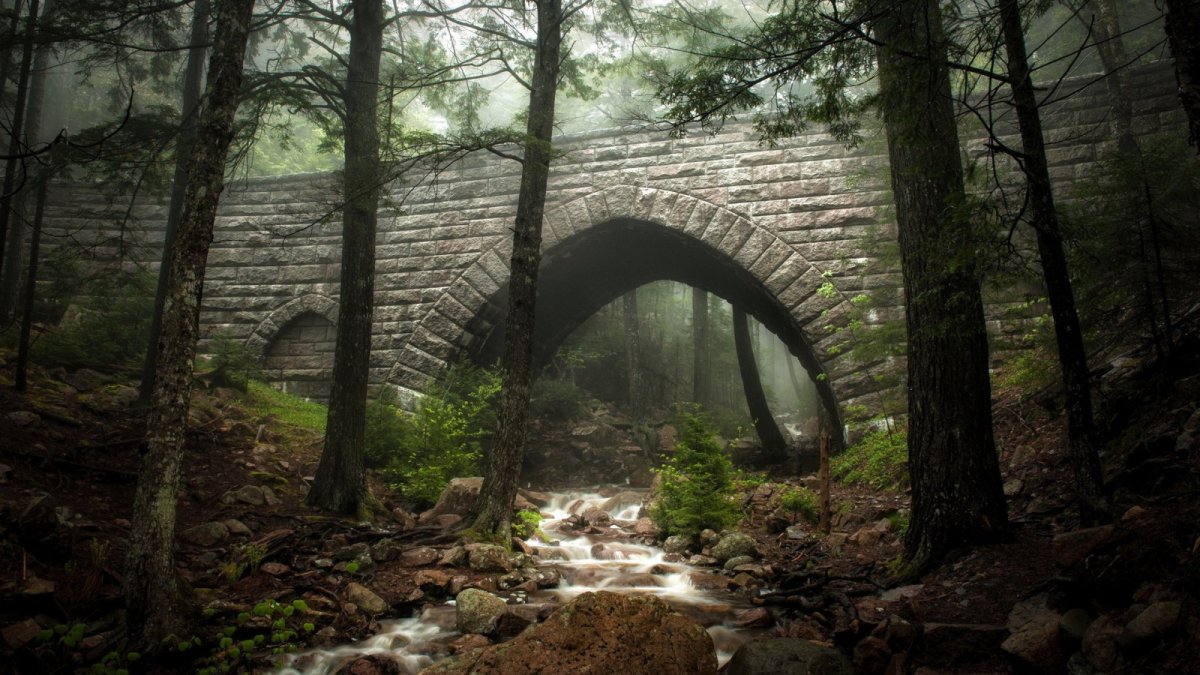 Шервудский лес каменный мост