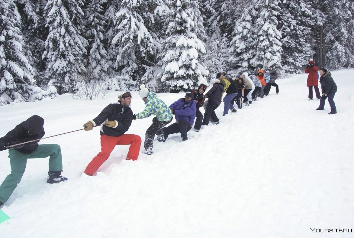 Зимний тимбилдинг лыжи