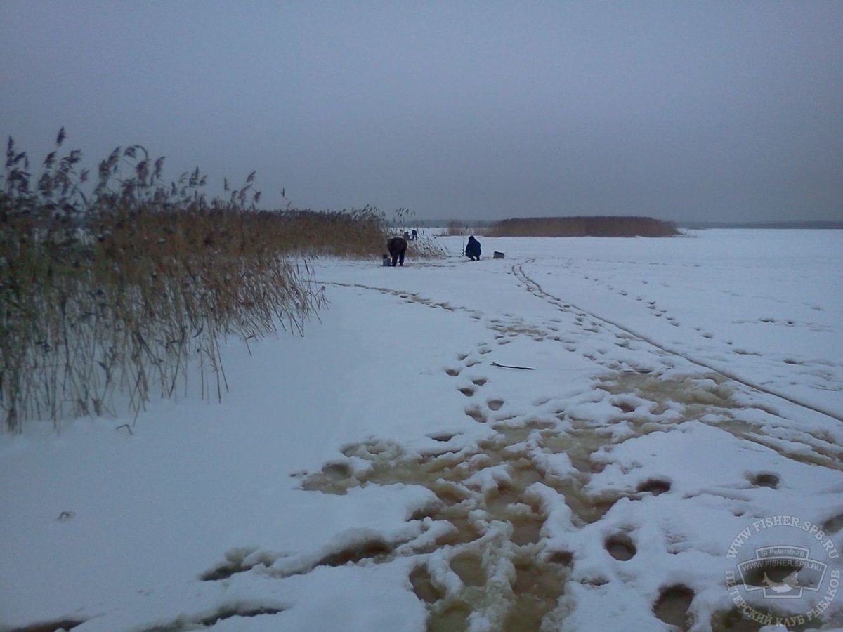 Озеро Лахтинский разлив зимой