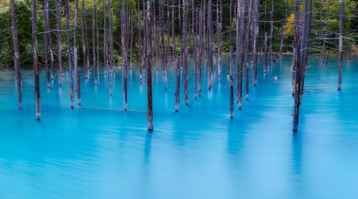 Голубой пруд, Хоккайдо, Япония
