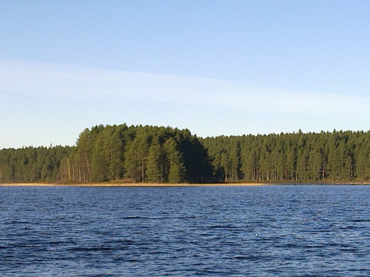 Пендиковское озеро Тосненский район