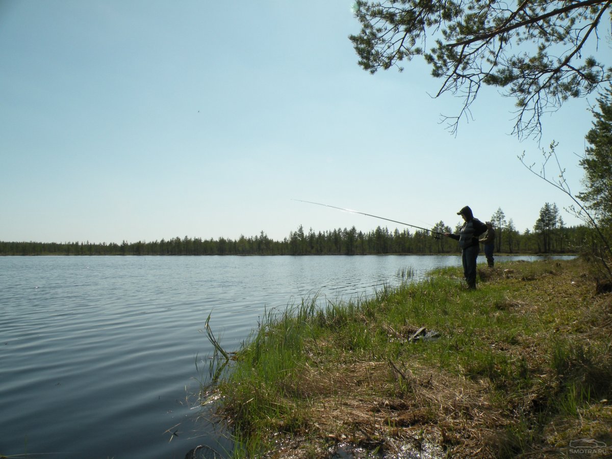Мякшинское озеро рыбалка