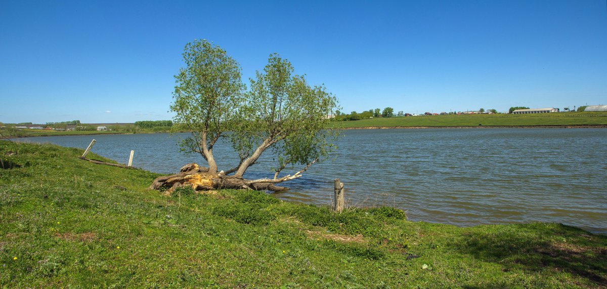 Белое озеро Яльчикский район
