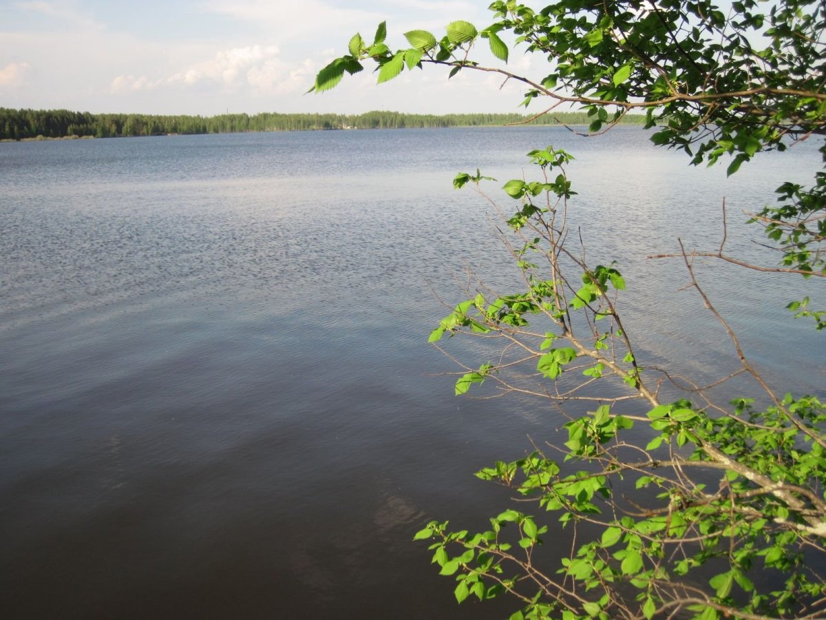 Светлое озеро Касимовский