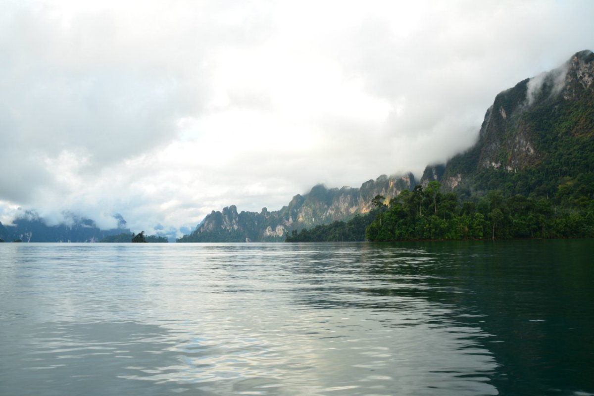 Обитатели озера Чео Лан