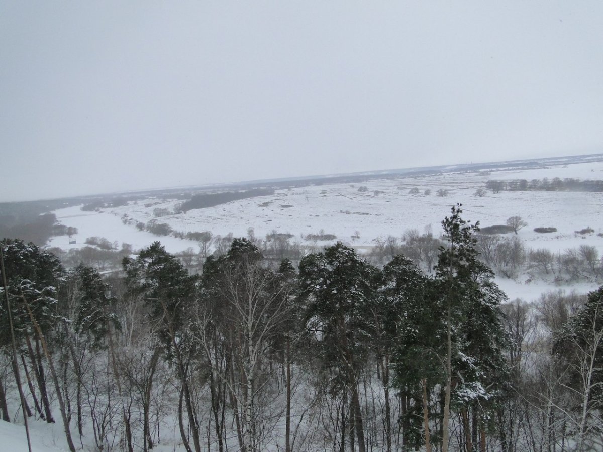 Лысая гора Солотча Рязань зимой