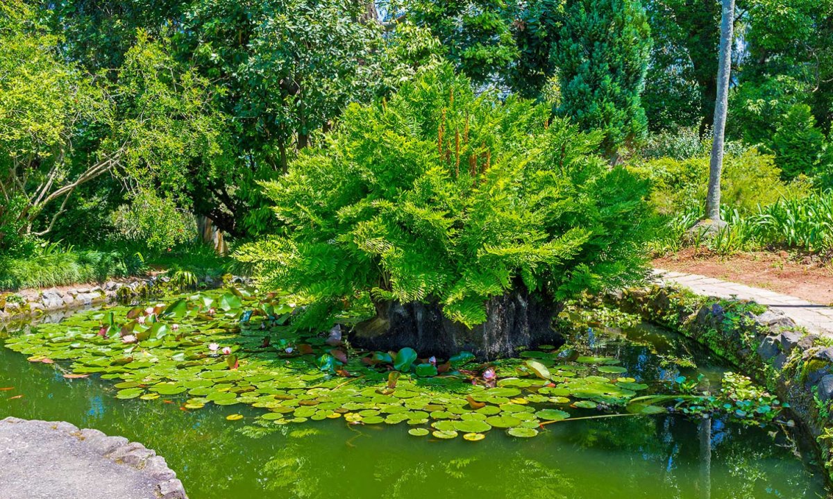 Японский сад Батуми