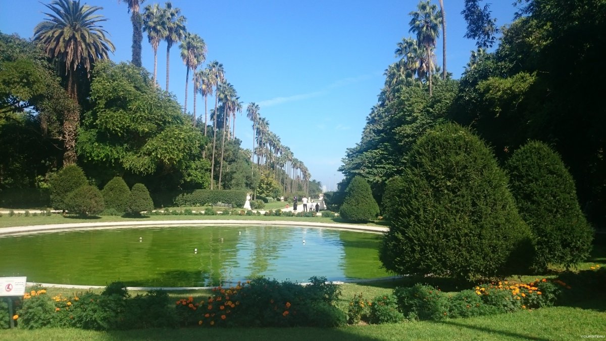 Botanical Garden hamma Алжир