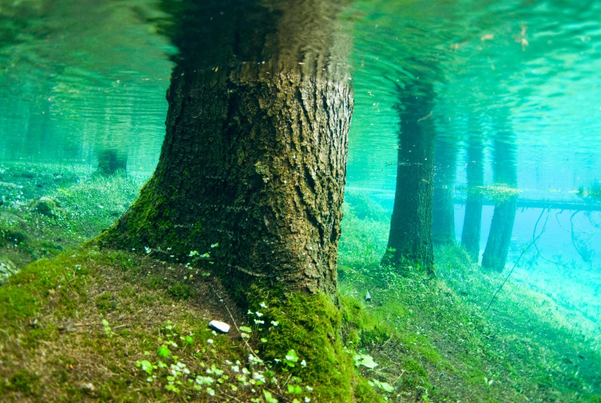 Подводный парк "зеленое озеро".