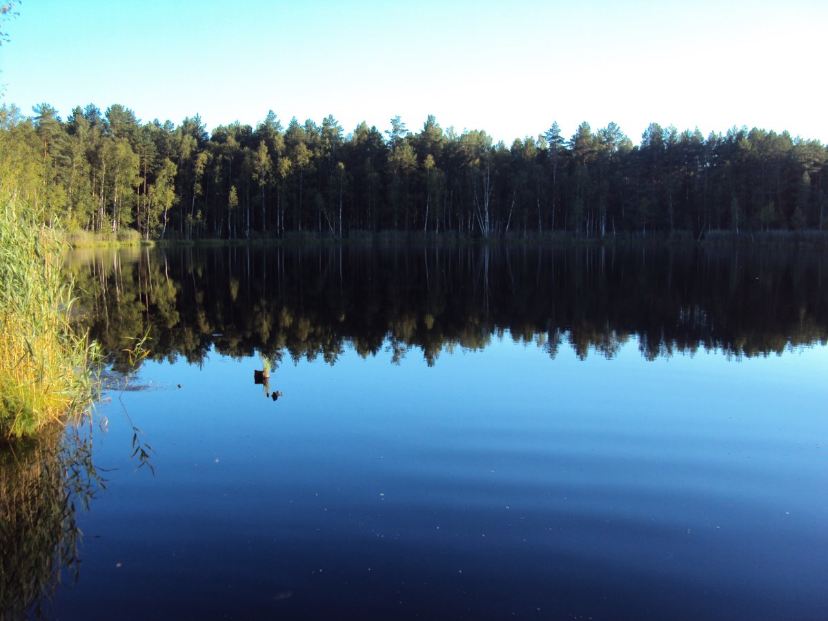Семлёвское озеро