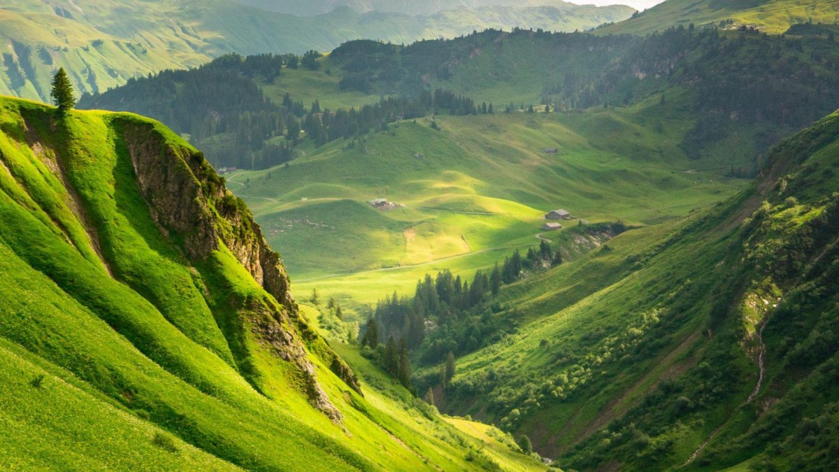 Вид на зеленые горы