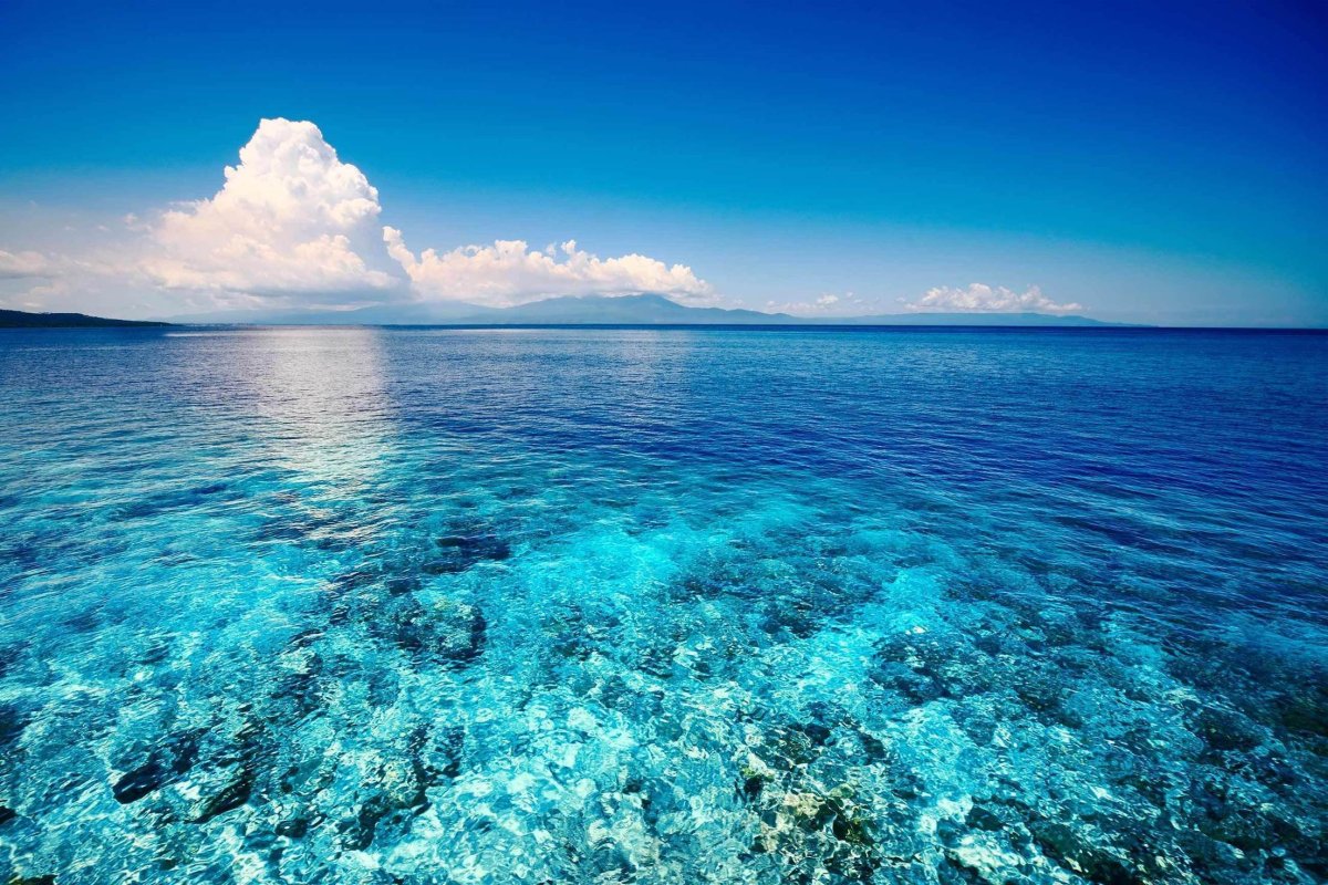 Море Сулавеси