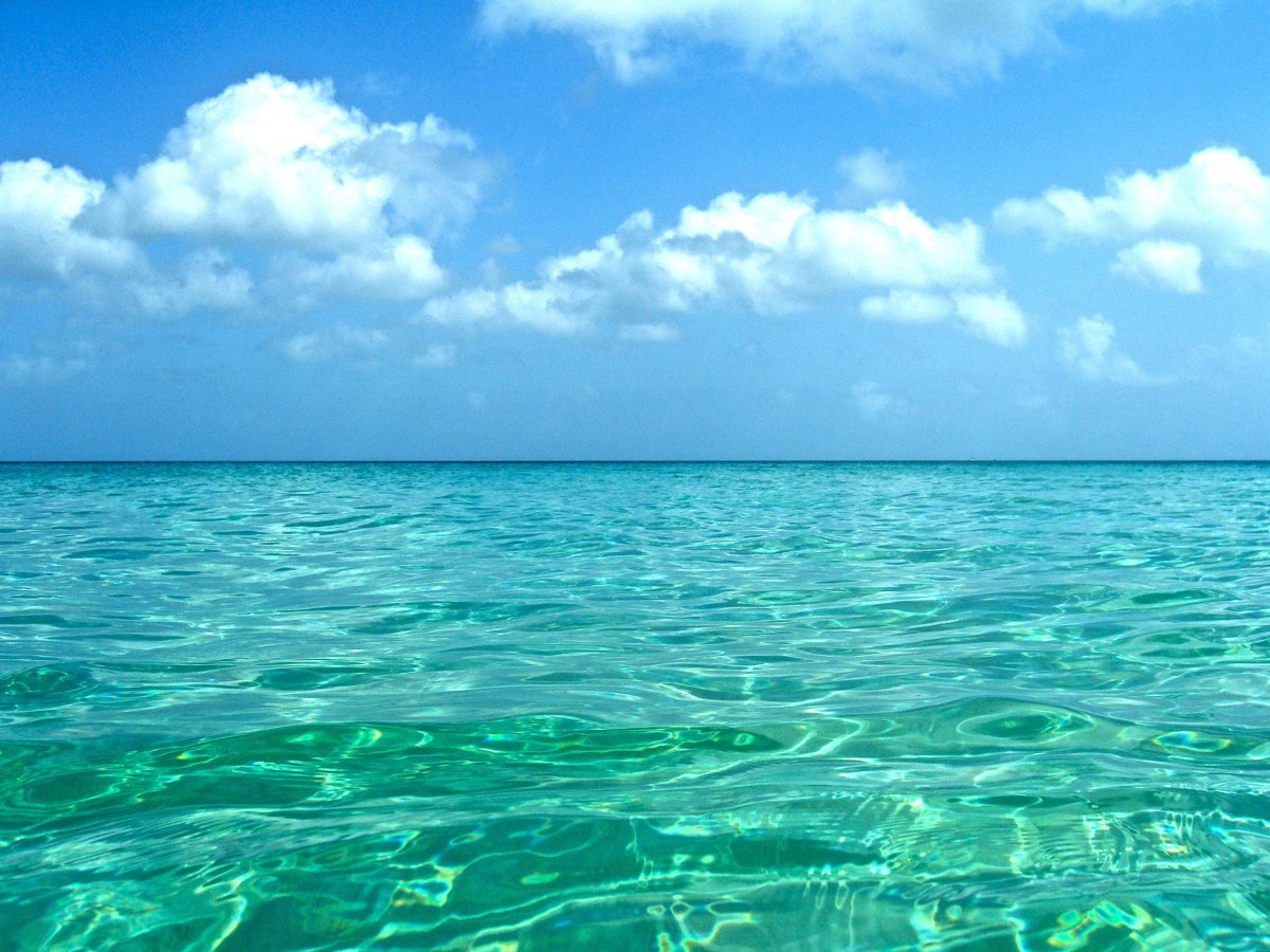 Самое голубое. Прозрачное море. Голубое море. Бирюзовое море. Море прозрачное бирюзовое.
