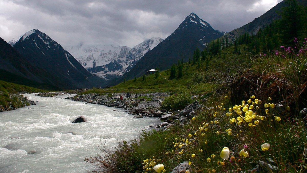 Река Белуха Алтай