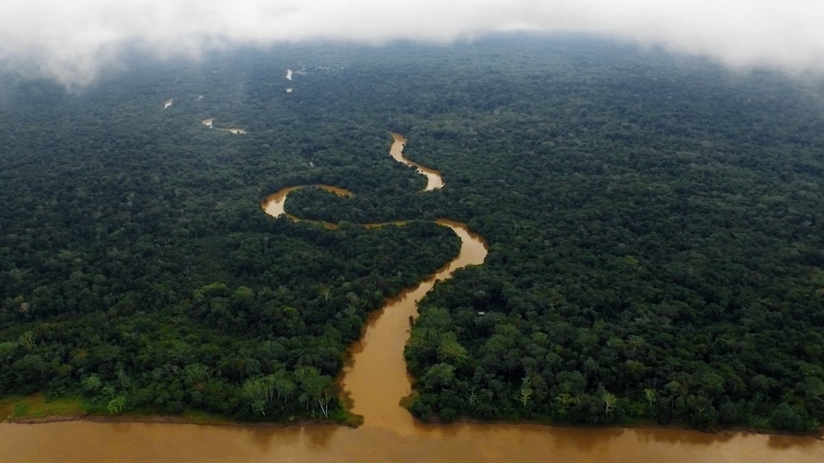 Бассейн реки Амазонка