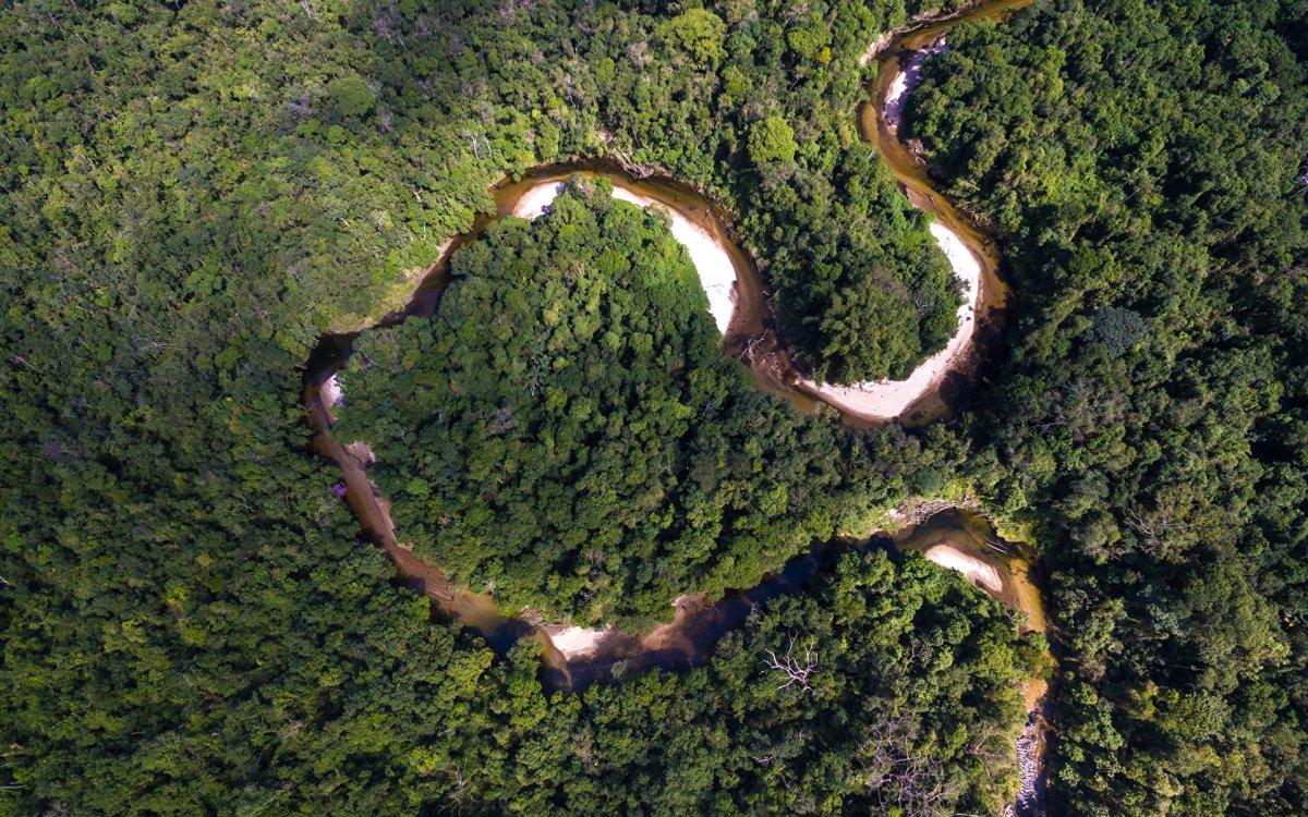 Змеиный остров Сан-Паулу Бразилия