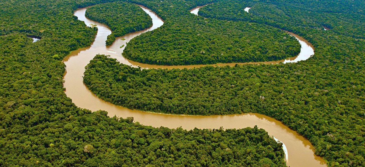 Пойма реки амазонки