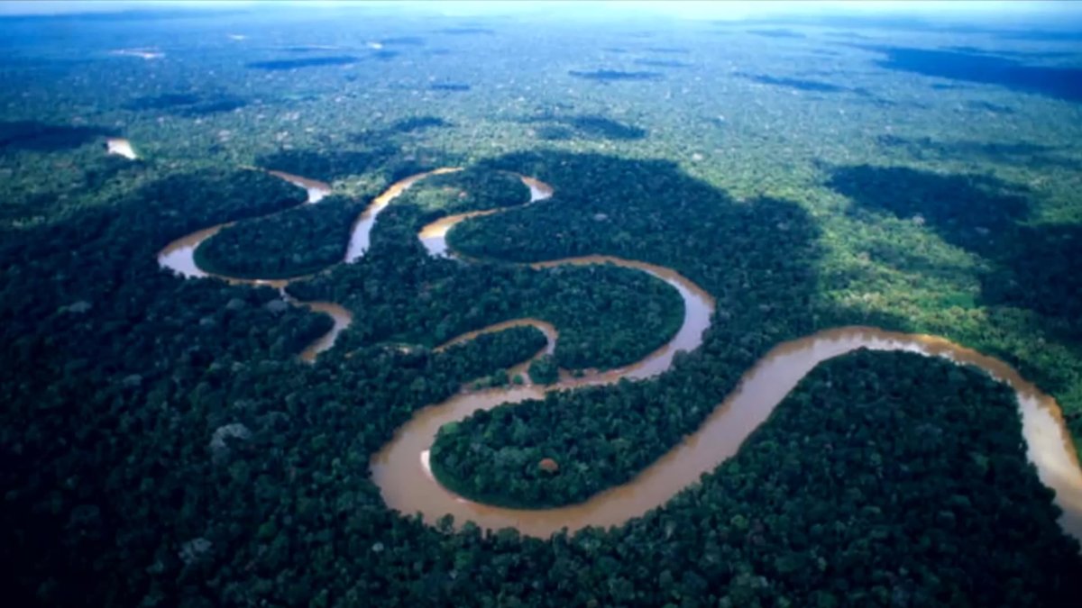 Нил и Амазонка