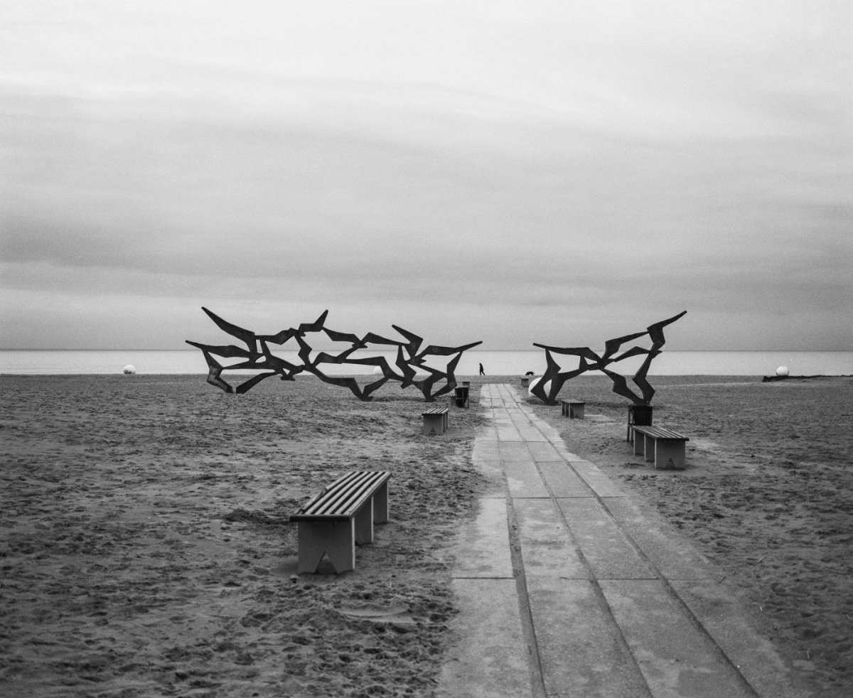 Скульптура Чайки на пляже ласковый