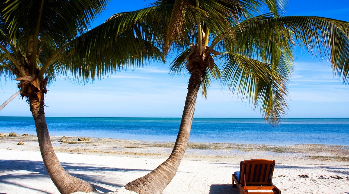 Майами пляж пальмы