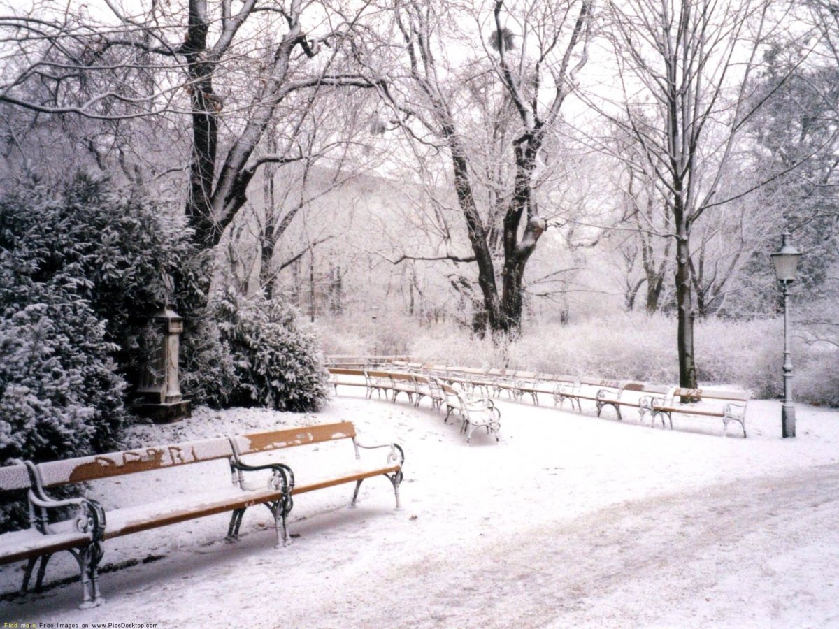 Снег в парке