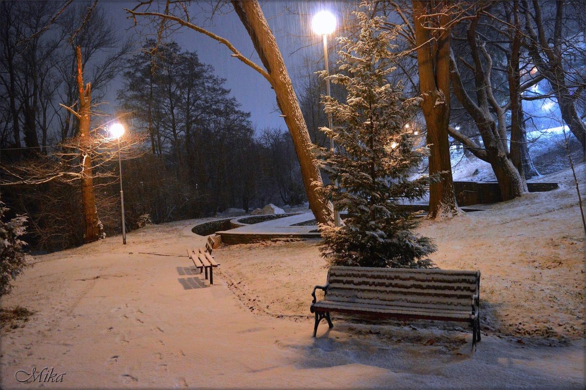 Терлецкий парк зимой ночью