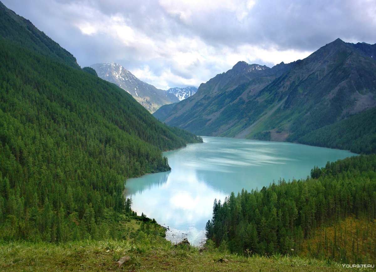 Кучерлинские озёра, Алтай