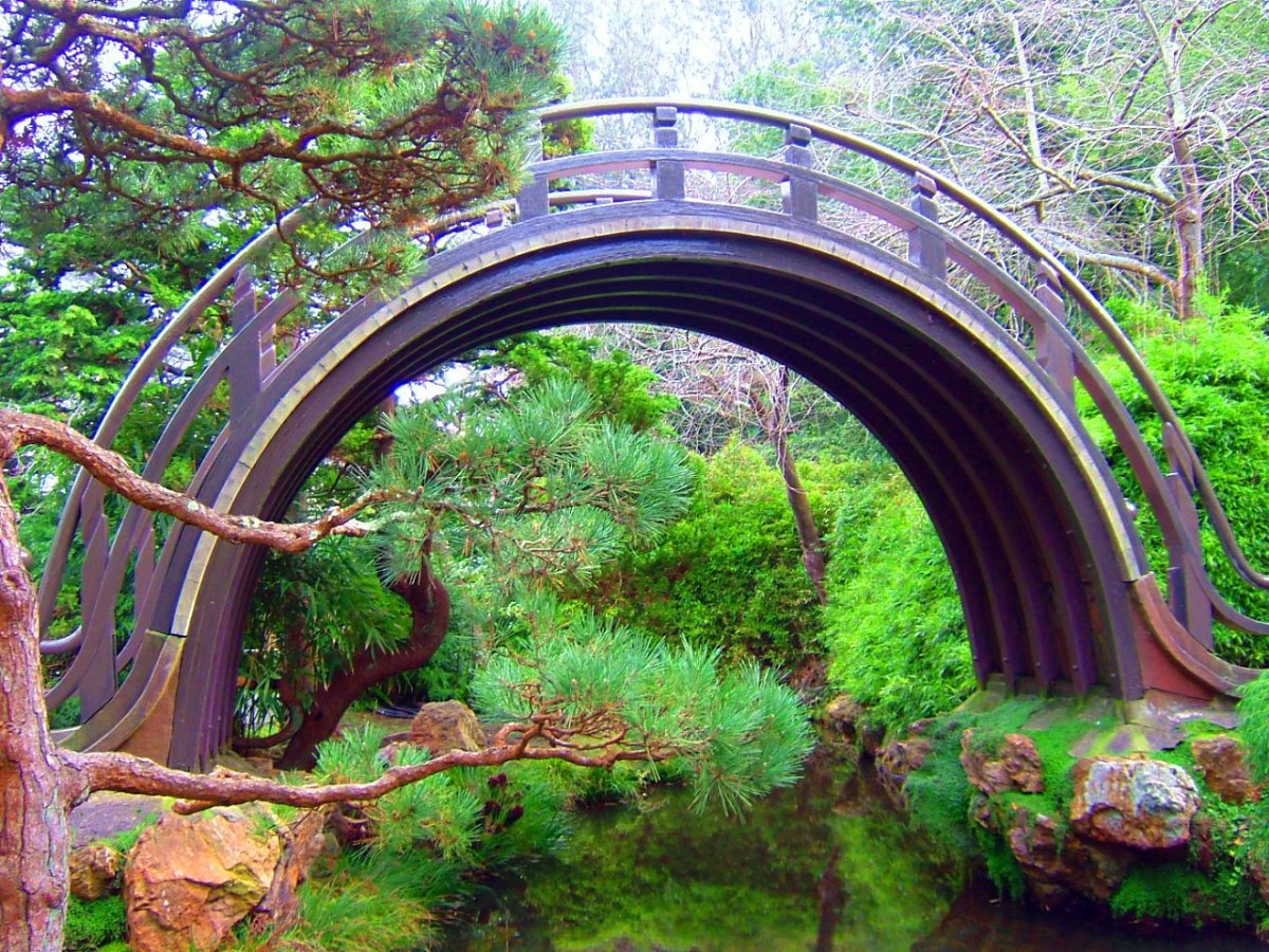 Японский сад с мостиком в саду
