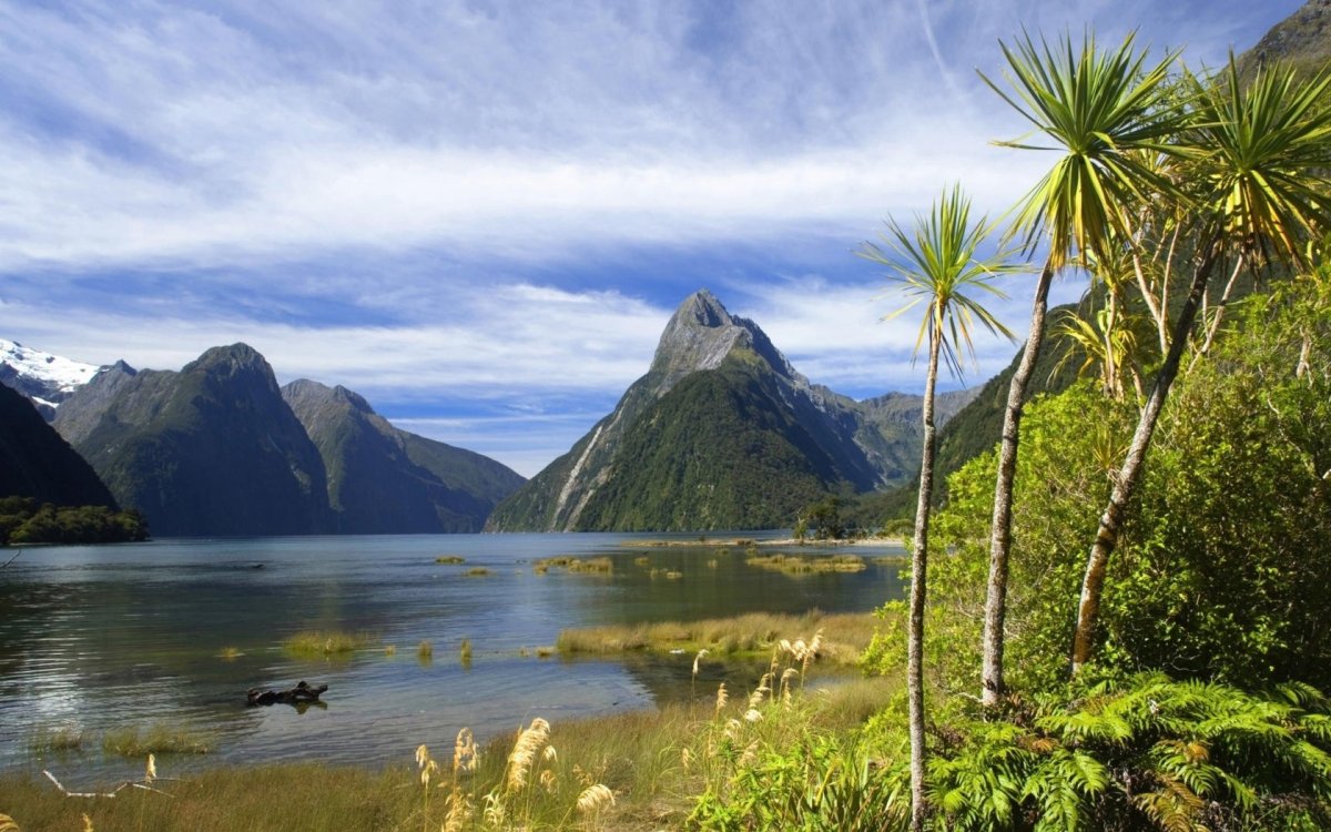 Новая Зеландия тропики