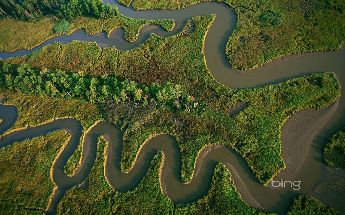 Река Амазонка русло из космоса