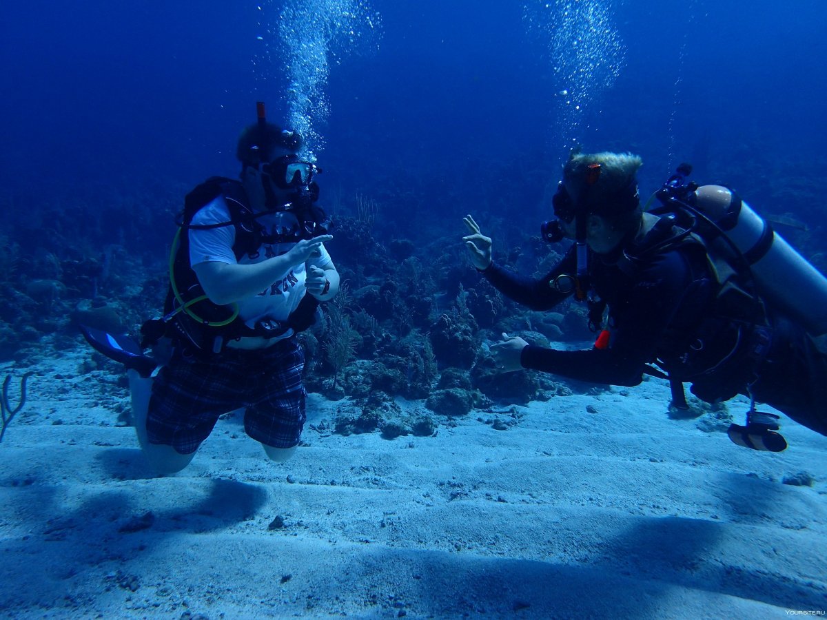 Аквалангисты фотографируют кораллы