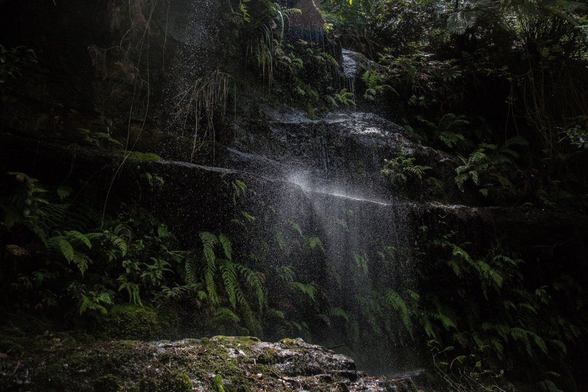 Водопад Эстетика в лесу
