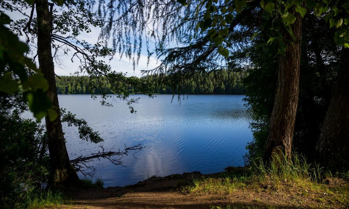 Эстония озеро Ульясте