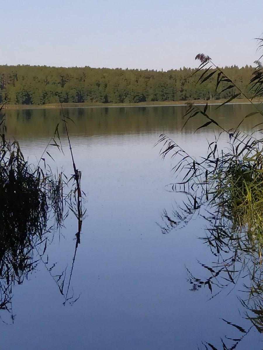 Озеро Кувшинское Кировская область