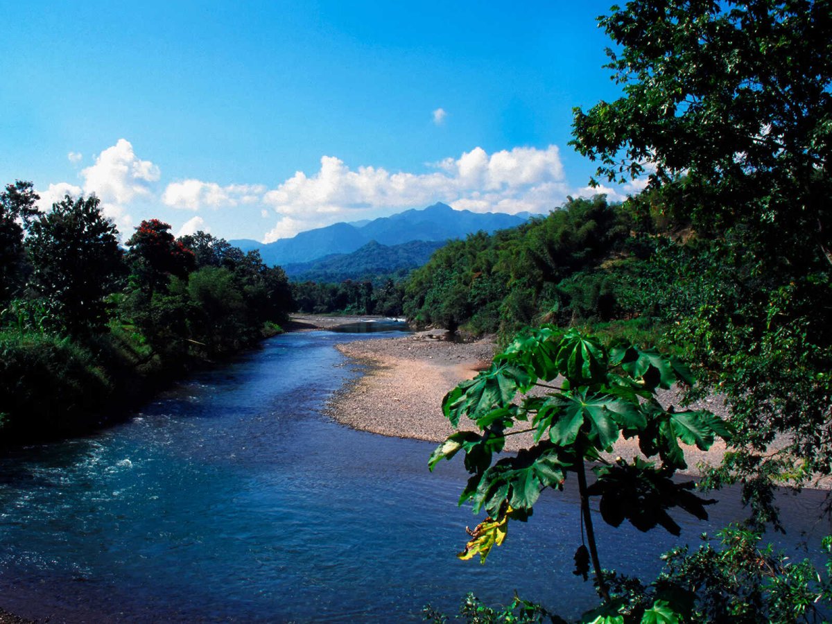 Река Миньо Ямайка