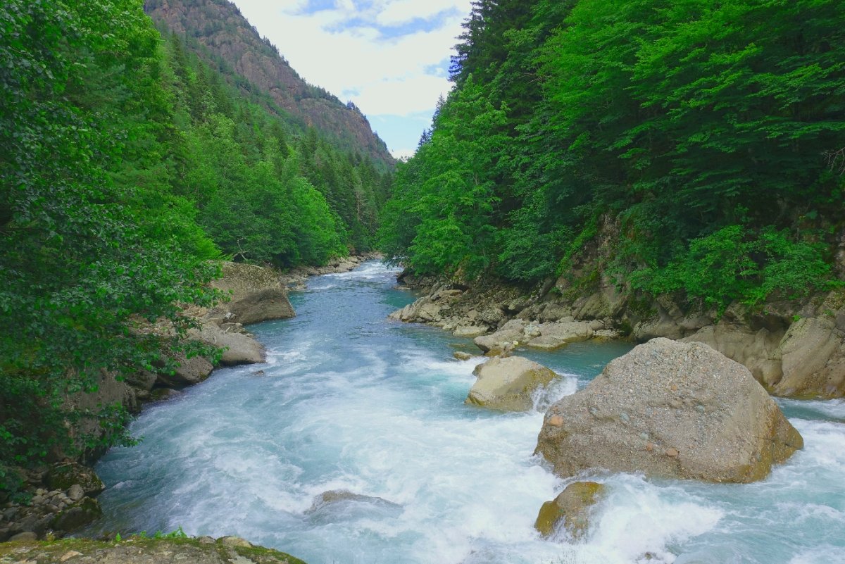 Река Лаба Адыгея