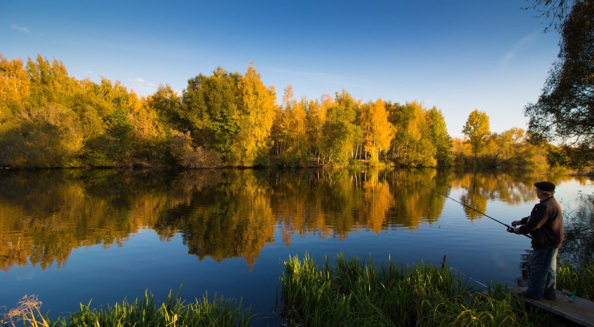 Осень река Усманка Воронеж