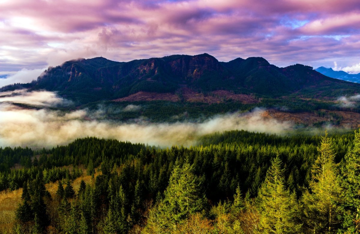 Орегон штат США природа